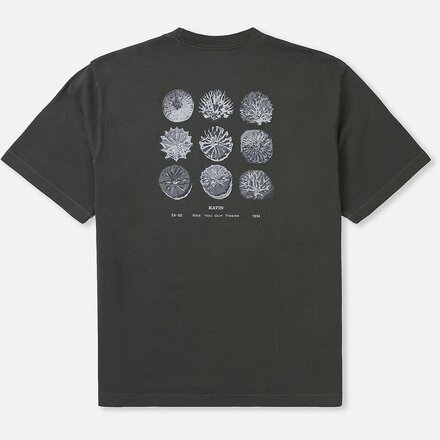 Katin - Specimen Box Fit T-Shirt - Men's