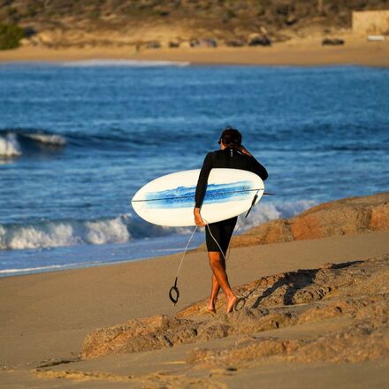Lib Technologies - Alex Lopez Terrapin Board - 2025
