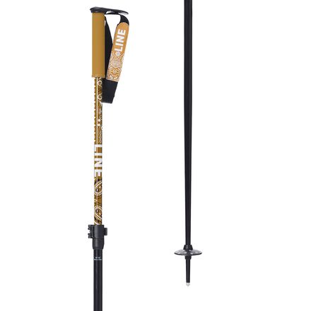 Paintbrush Ski Poles