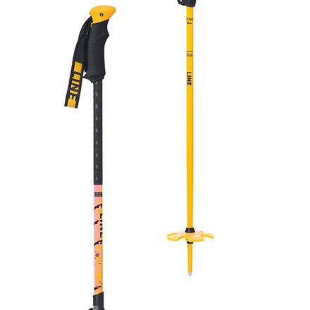 Vision Ski Poles