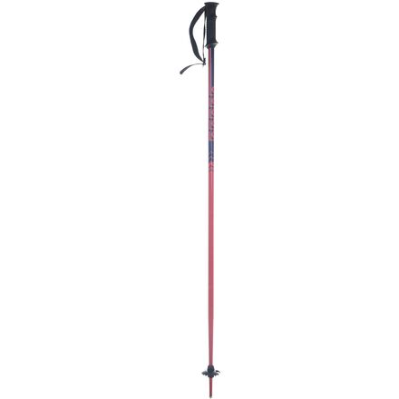 L9 Sports - Junior Ski Poles 2022