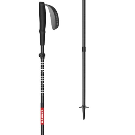 Aenergy Ultra Vario Carbon Poles