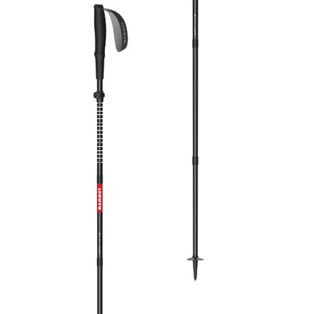 Taiss Poles