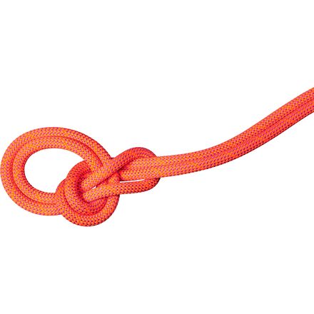 9.8 Crag Dry Rope