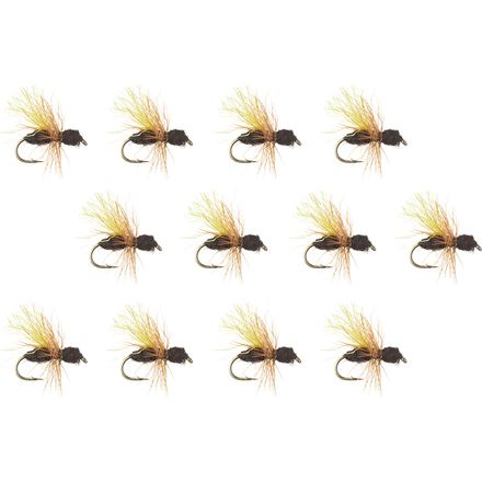 Black Flying Ant - 12-Pack