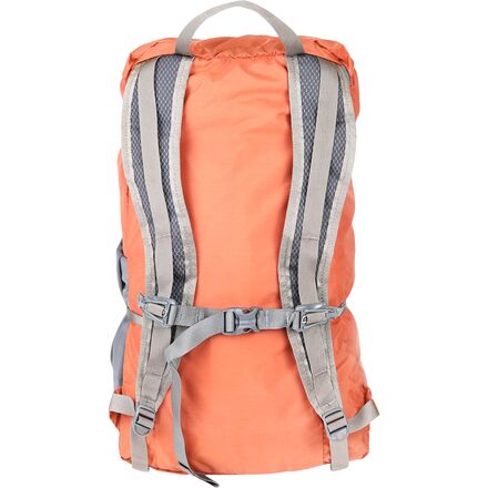 Mystery Ranch - In & Out 22L Backpack