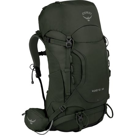 Osprey Packs - Kestrel 38L Backpack - Picholine Green