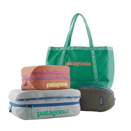 Patagonia - Black Hole 25L Tote
