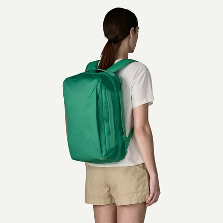 Patagonia - Black Hole Micro MLC 22L Pack