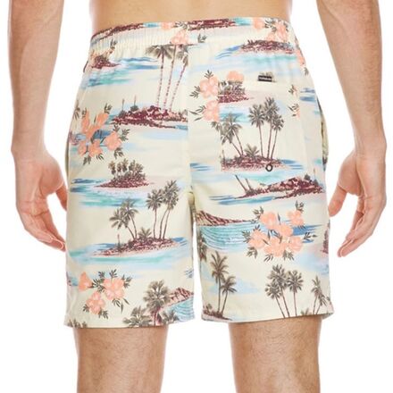 Quiksilver - Everyday Mix Volley 17 NB Short - Men's