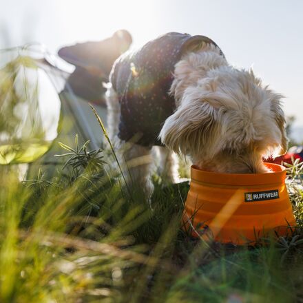 Ruffwear - Bivy Dog Bowl