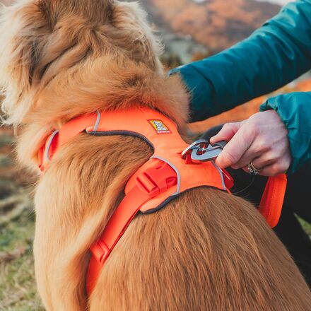 Ruffwear - Front Range Harness