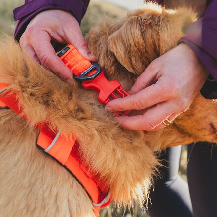 Ruffwear - Front Range Dog Collar