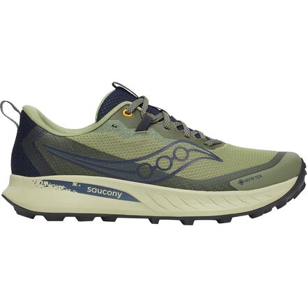 Peregrine 15 GTX Running Shoe - Men's