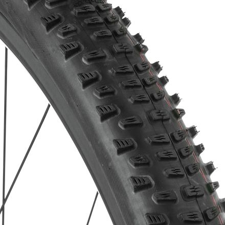 Schwalbe - Racing Ralph Addix Tire - 29in