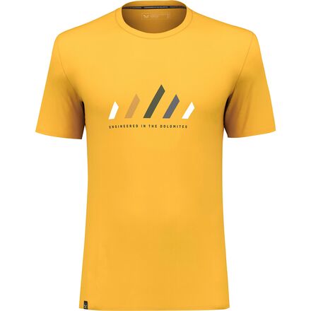 Salewa - Pure Stripes Dry T-Shirt - Men's - Gold
