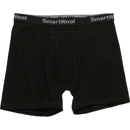 Smartwool - Micro 150 Boxer Brief - Men's