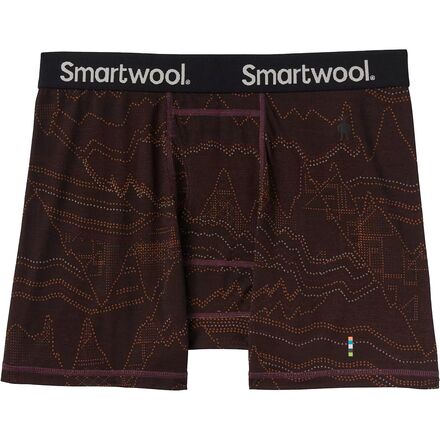 Smartwool - Merino 150 Printed Boxer Brief - Men's