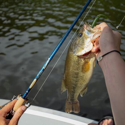 St. Croix - Triumph Spinning Rod