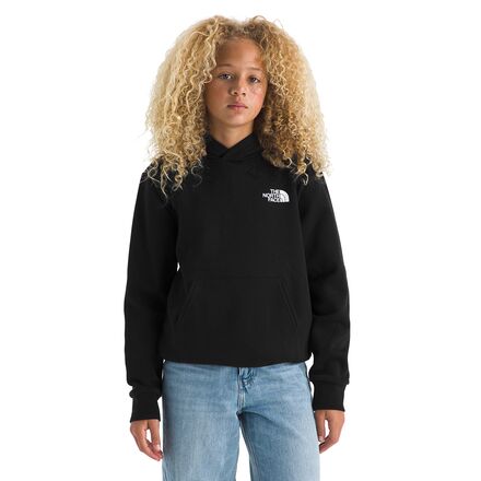 The North Face - Evolution Box NSE Pullover Graphic Hoodie - Kids'