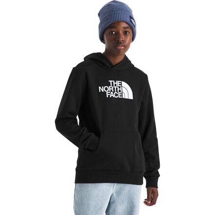The North Face - Evolution Half Dome Pullover Hoodie - Kids'