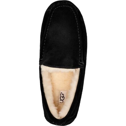 UGG - Ascot Slipper - Men's