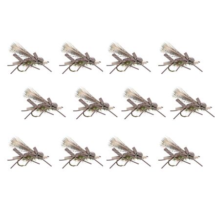 Amy's Ant 12-Pack