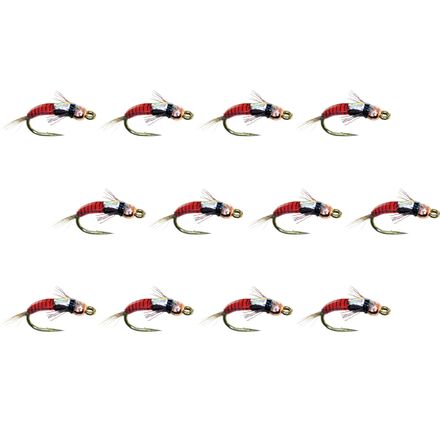 Juju Baetis Tung 12-Pack