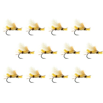 Umpqua - Stubby Chubby 12-Pack