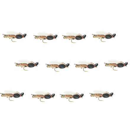 Thunder Grass Hopper 12-Pack