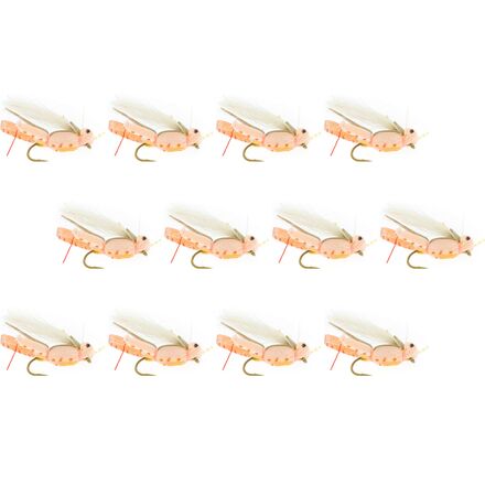 Thunder Grass Hopper 12-Pack