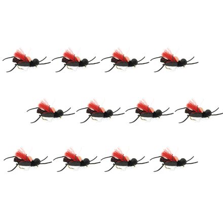 Thunder Thighs Hopper 12-Pack