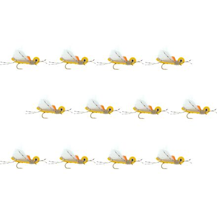 Thunder Thighs Hopper 12-Pack