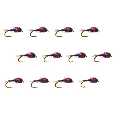 Two Bit Hooker 12-Pack