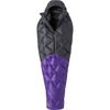 Asphalt/Royal Purple