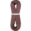 Coyote Brown/Red Orange