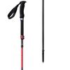 MSR - Dynalock Ascent Poles - Carbon