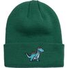 Teal (Dino)