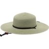 Safari