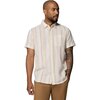 Sea Salt/Isle Stripe