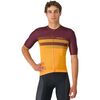 Vivid Orange/Deep Bordeaux