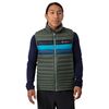 Spruce Stripes