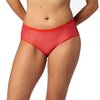 Scorpio Red Cheetah