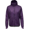 Purple Indigo