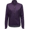Purple Indigo