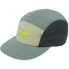 Grey Cactus