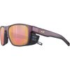 Burgundy/Gold/Spectron 3 Polarized