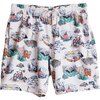 KAVU - Costa Short - Men's - Places To Be