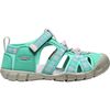Bright Aqua/Pink-A-Boo
