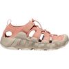 Cork/Cameo Rose